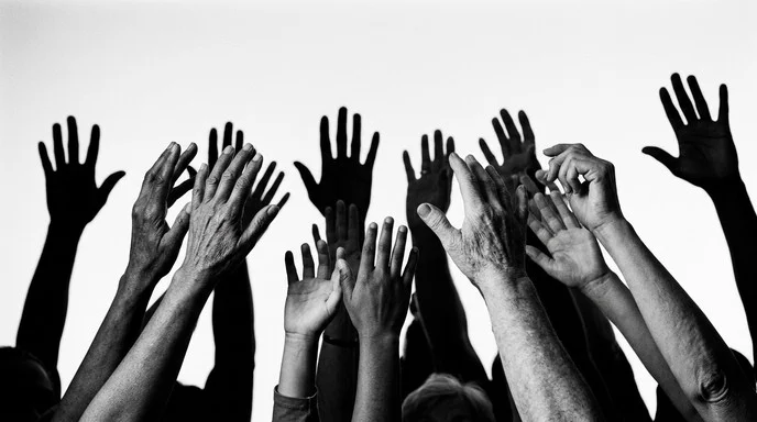 Collaborative leadership and organizational intelligence development